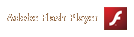 Adobe Flash Player̃CXg[